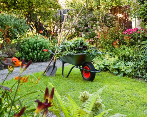 Evening after work in summer garden with wheelbarrow, shovel and rake - horizontal